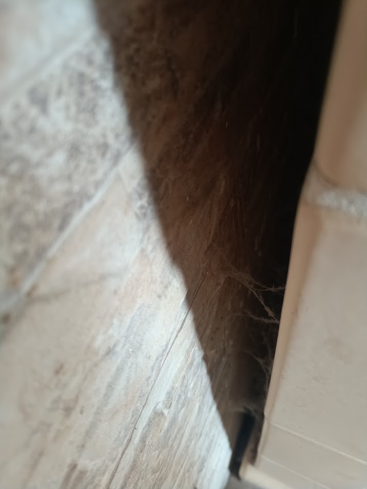 cserepkalyha por pokhalo